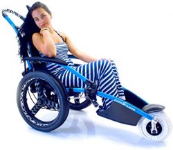 Silla de ruedas silla de ruedas